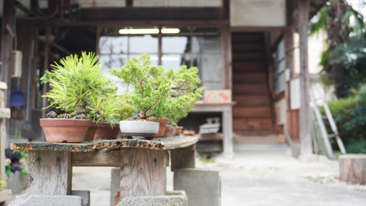 京丹波から送る焼き物の魅力　永田工房-Stories and insights about Japanese pottery, artists, and Kyoto craftsmanship.