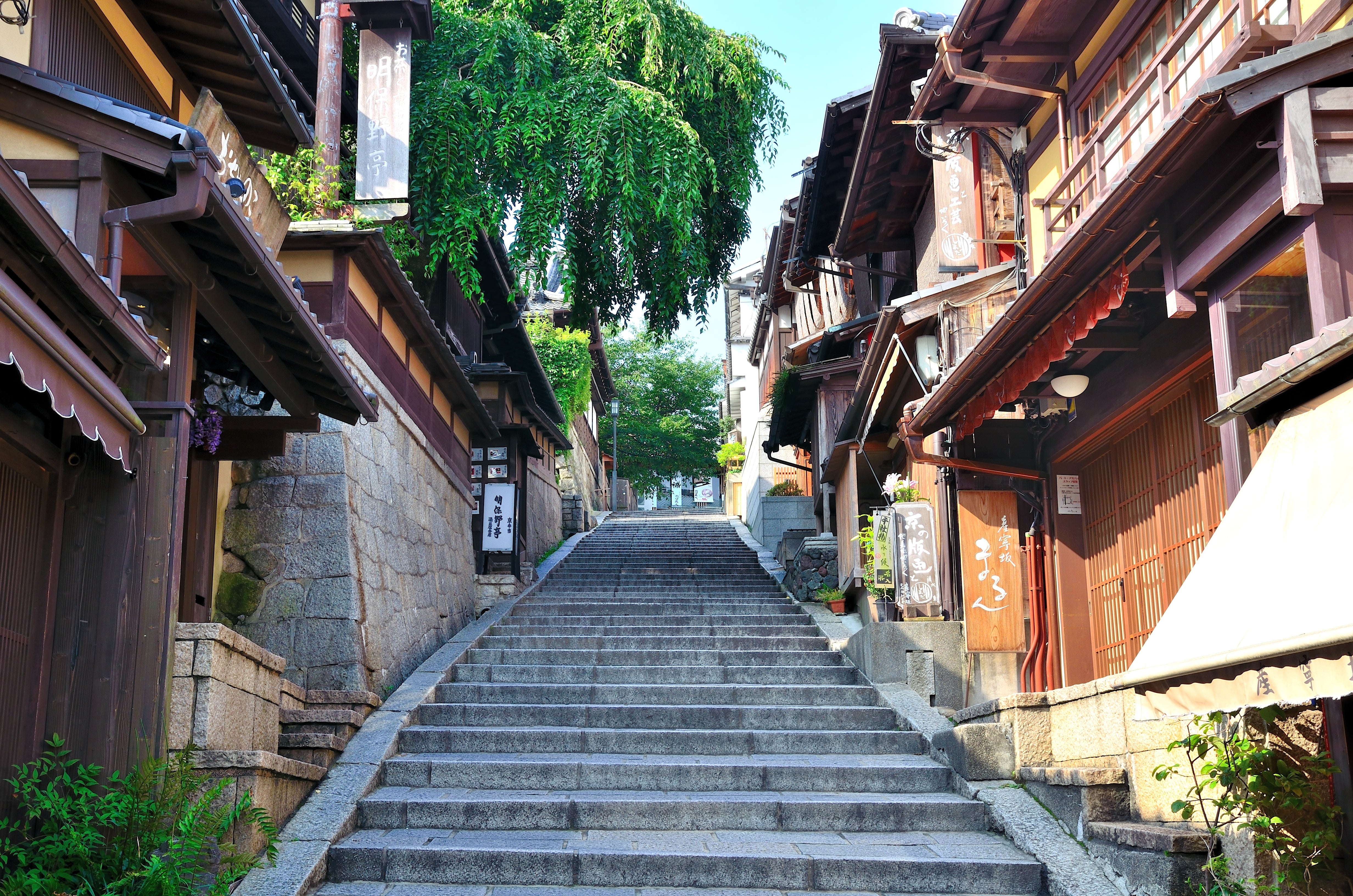 清水焼のよみものメディア|清水焼の窯元や選び方、使い方を紹介。