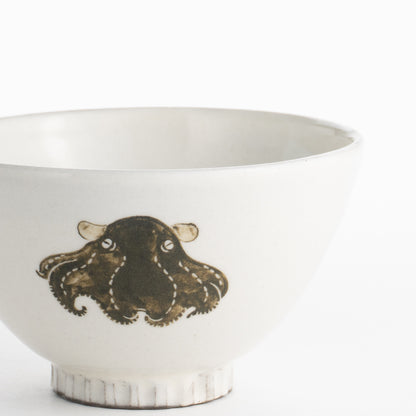 【清水焼】茶碗　メンダコ　澤田卓伸 KOTOPOTTER