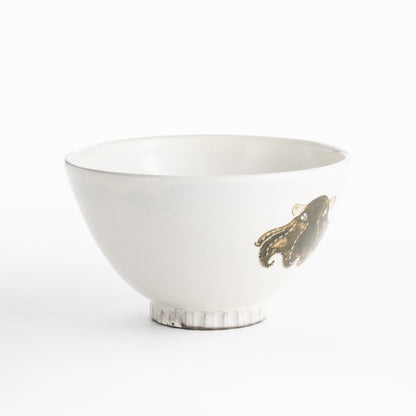 【清水焼】茶碗　メンダコ　澤田卓伸 KOTOPOTTER