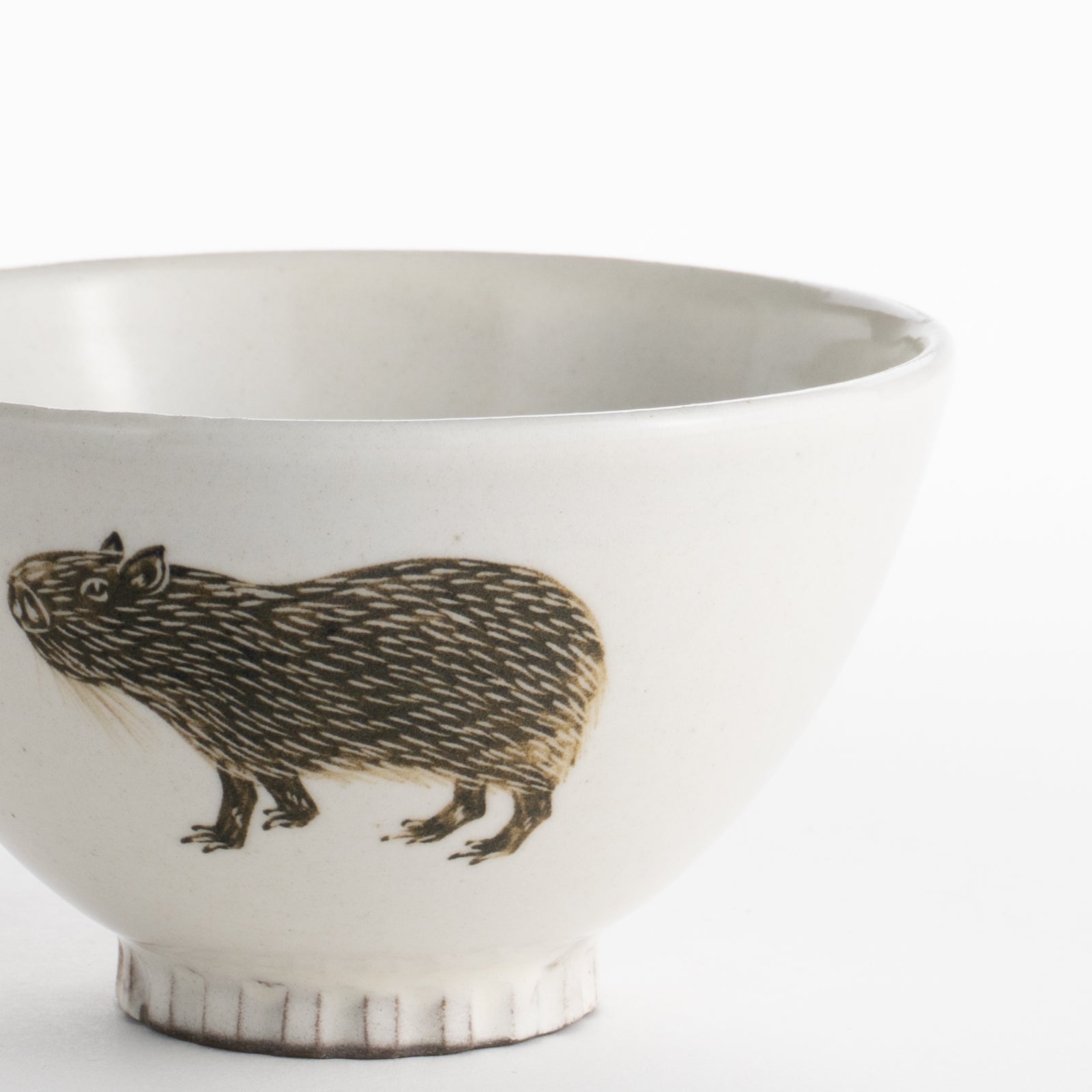 【清水焼】茶碗　カピバラ　澤田卓伸 KOTOPOTTER