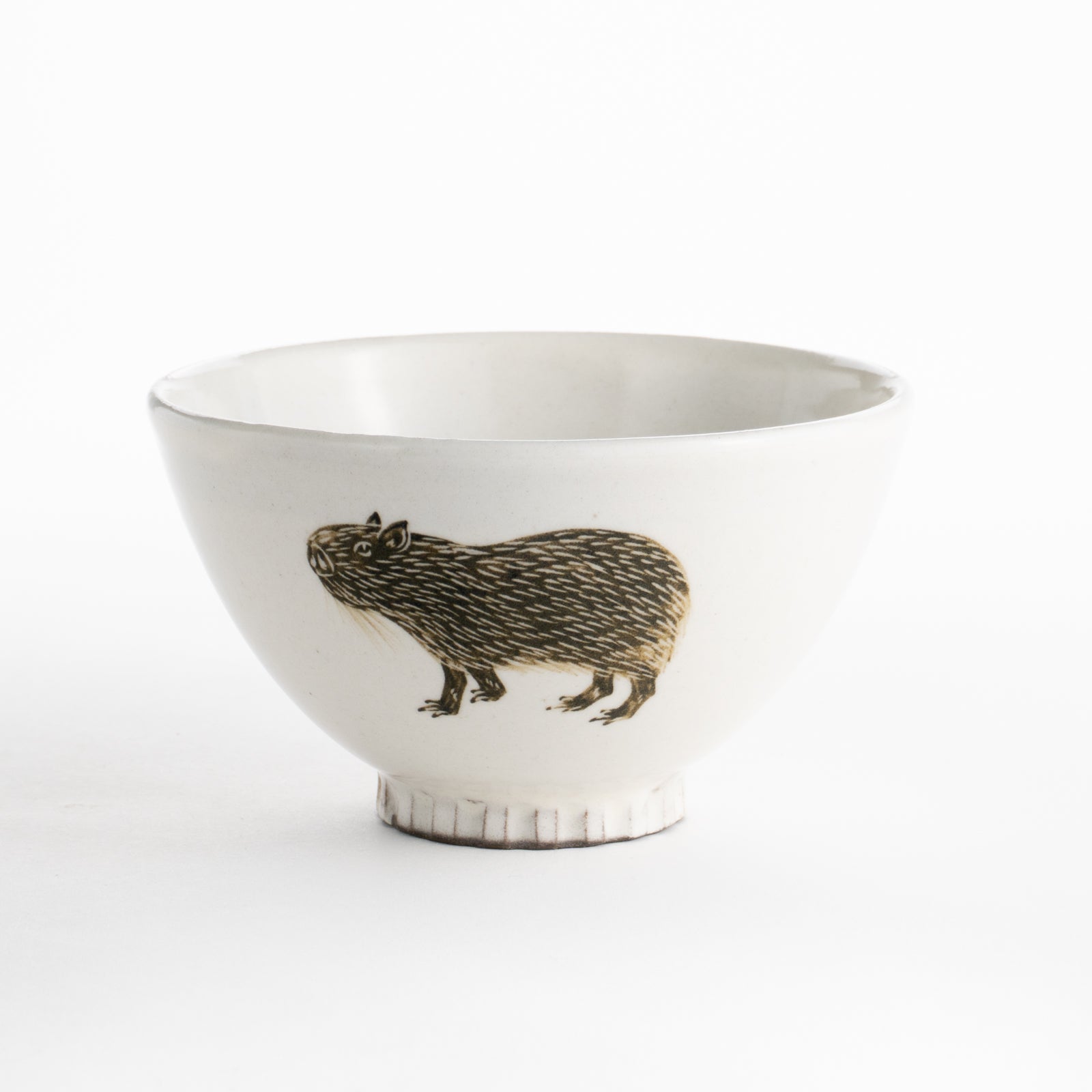 【清水焼】茶碗　カピバラ　澤田卓伸 KOTOPOTTER