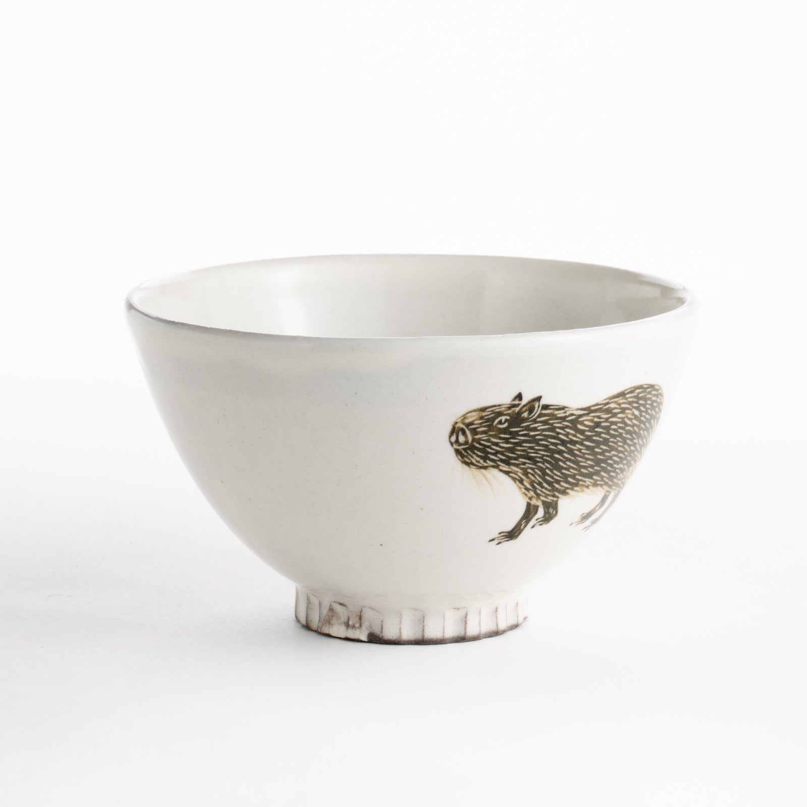 【清水焼】茶碗　カピバラ　澤田卓伸 KOTOPOTTER