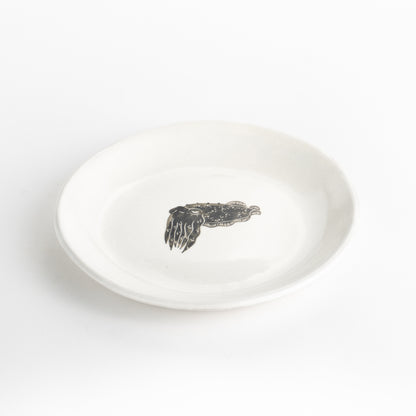 【清水焼】4.5寸 平皿　コブシメ　澤田卓伸 KOTOPOTTER