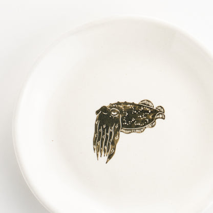 【清水焼】4.5寸 平皿　コブシメ　澤田卓伸 KOTOPOTTER