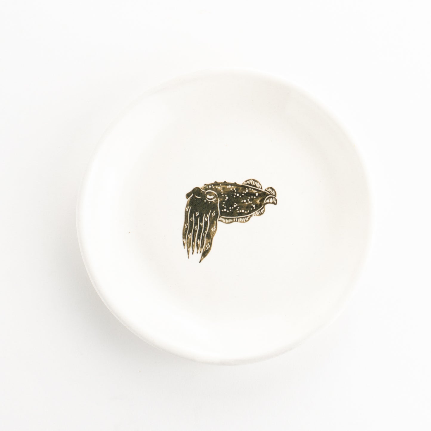 【清水焼】4.5寸 平皿　コブシメ　澤田卓伸 KOTOPOTTER