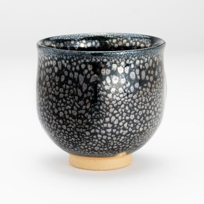 【清水焼】湯呑　銀星　和泉良法 KOTOPOTTER