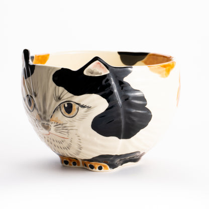 【清水焼】抹茶碗　三毛猫　良二 KOTOPOTTER