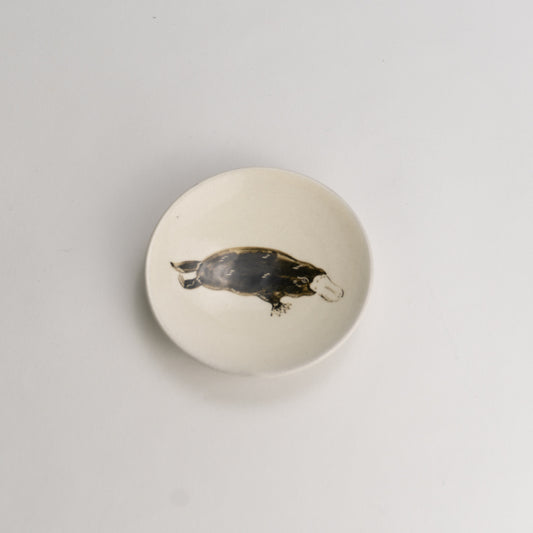 豆皿　カモノハシ　澤田卓伸 - Handcrafted Japanese pottery from Kyoto - Kyo ware / Kiyomizu ware.