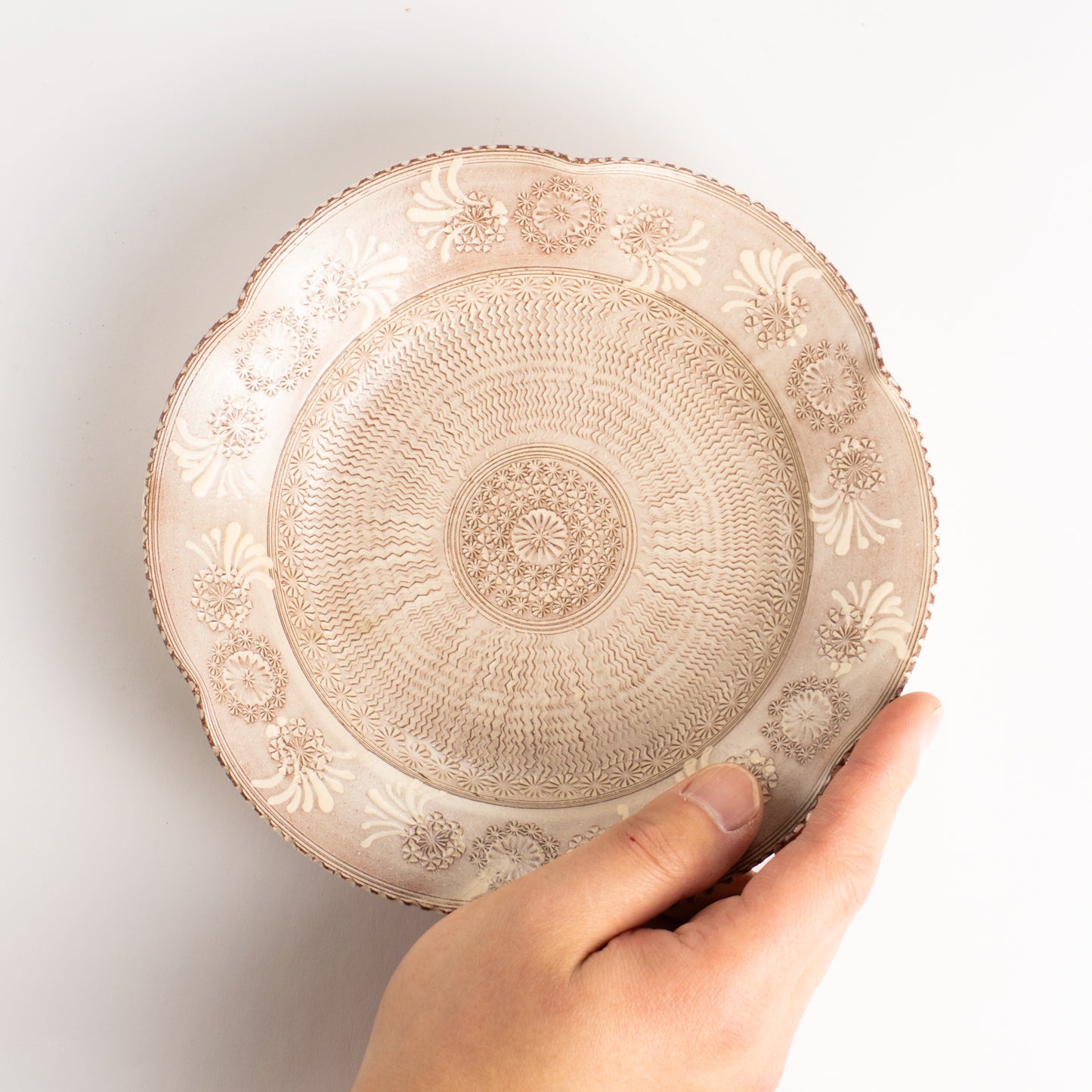 【清水焼】6寸向皿　紫三島　陶楽窯 KOTOPOTTER