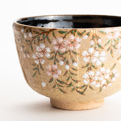 抹茶碗　掛分枝垂れ桜　良二 KOTOPOTTER