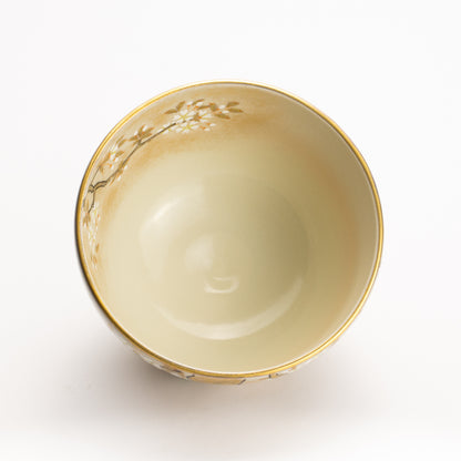 抹茶碗　色絵琳派"桜図"　善昇 KOTOPOTTER