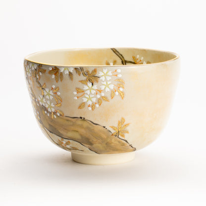 抹茶碗　色絵琳派"桜図"　善昇 KOTOPOTTER