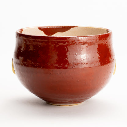 抹茶碗　達磨　良二 KOTOPOTTER