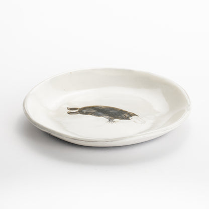 【清水焼】4.5寸 平皿　カモノハシ　澤田卓伸 KOTOPOTTER