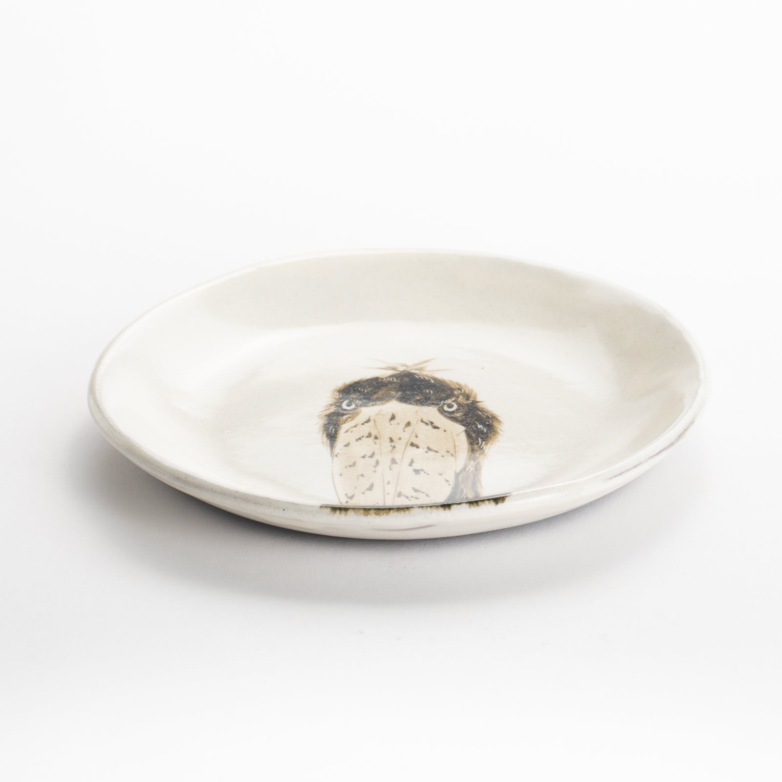 【清水焼】4.5寸 平皿　ハシビロコウ　澤田卓伸 KOTOPOTTER