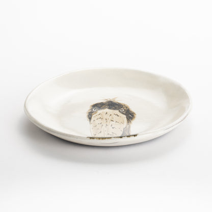 【清水焼】4.5寸 平皿　ハシビロコウ　澤田卓伸 KOTOPOTTER