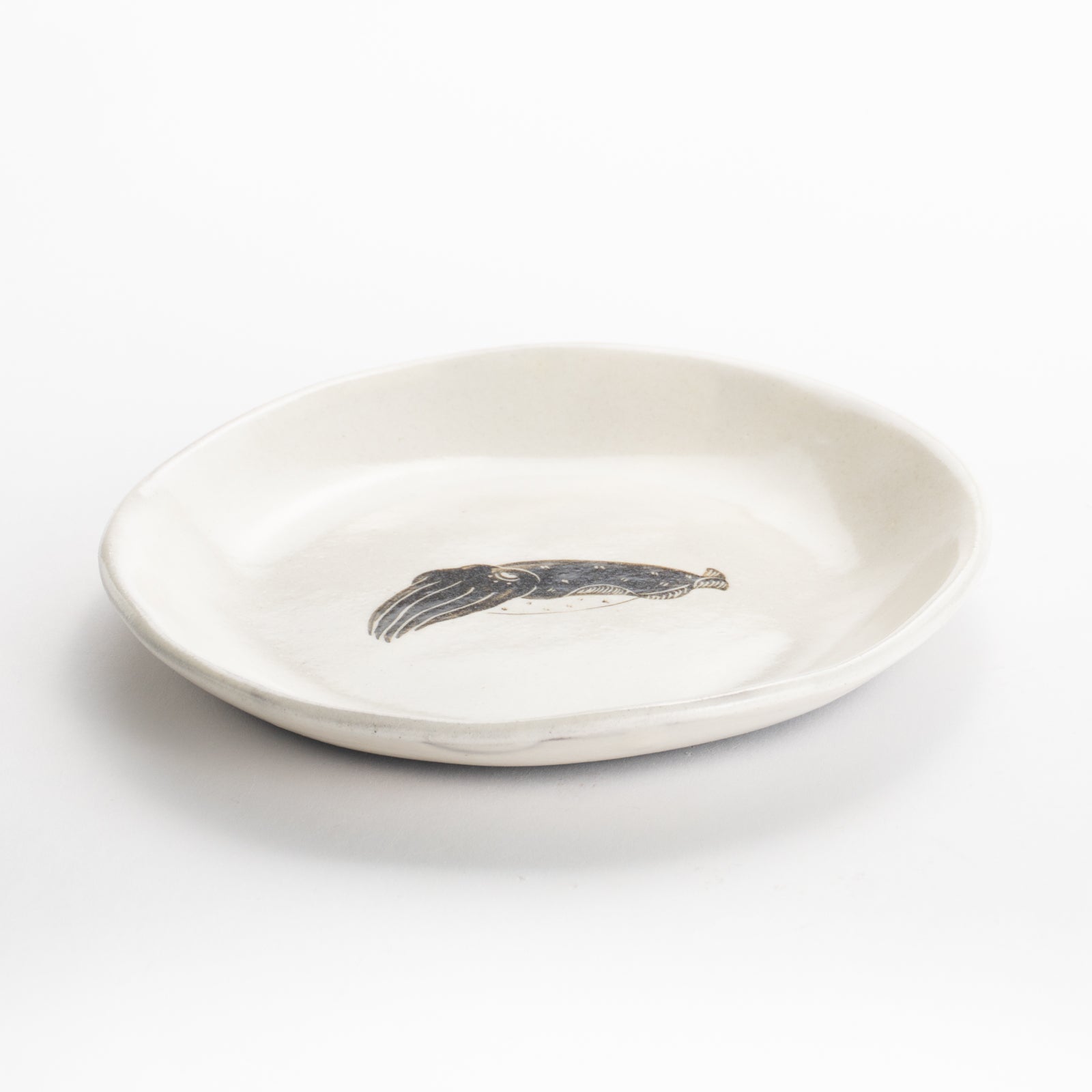【清水焼】4.5寸 平皿　コウイカ　澤田卓伸 KOTOPOTTER