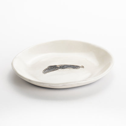 【清水焼】4.5寸 平皿　コウイカ　澤田卓伸 KOTOPOTTER