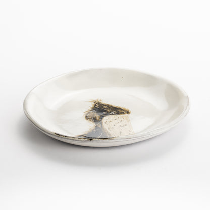 【清水焼】4.5寸 平皿　ハシビロコウB　澤田卓伸 KOTOPOTTER