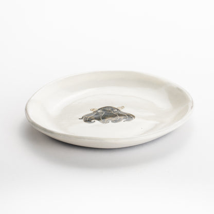 【清水焼】4.5寸 平皿　メンダコ　澤田卓伸 KOTOPOTTER