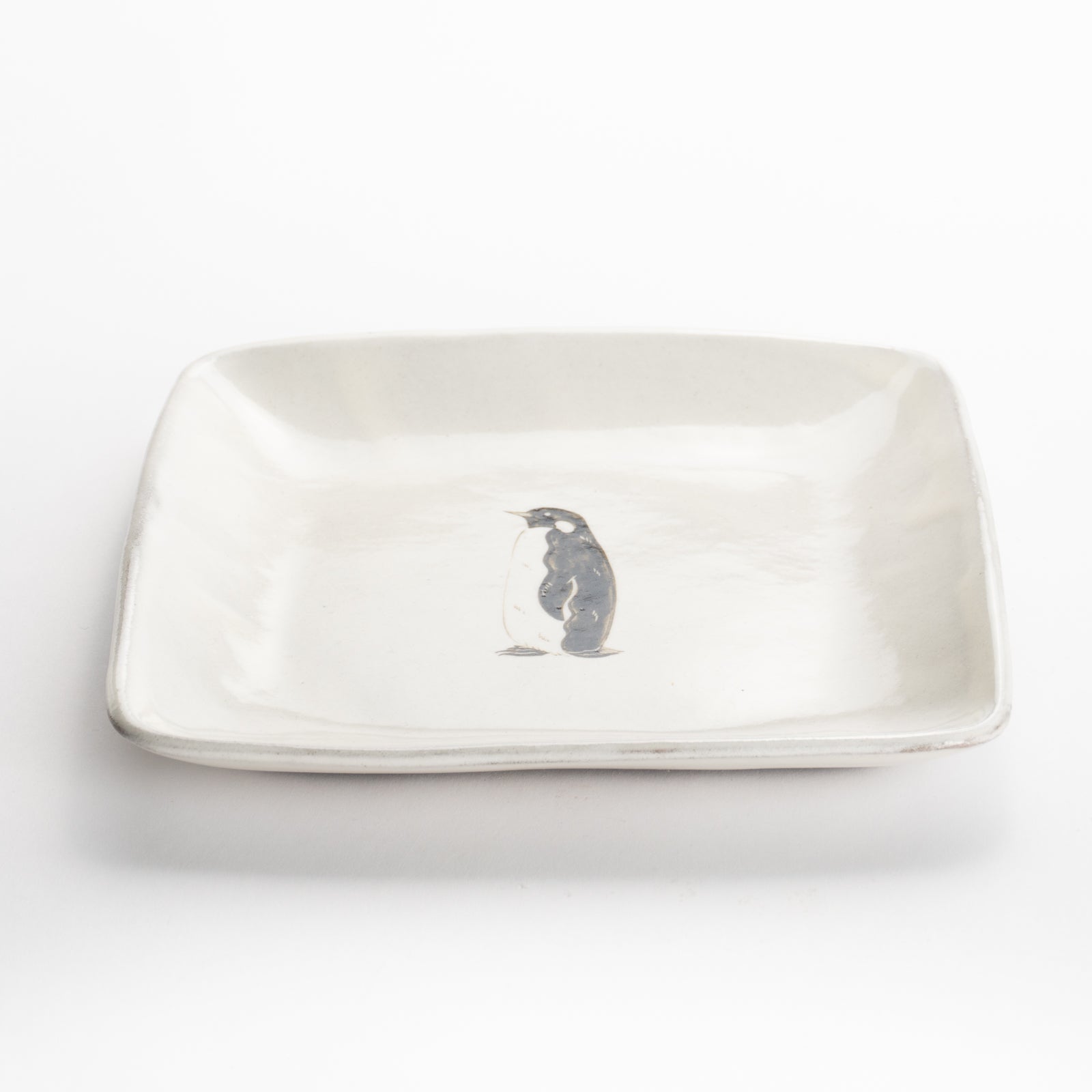 【清水焼】正角皿　コウテイペンギン　澤田卓伸 KOTOPOTTER