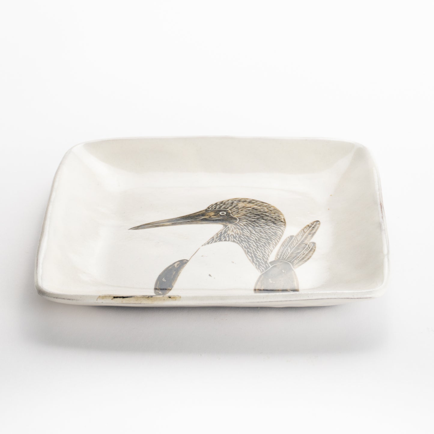【清水焼】正角皿　アオアシカツオドリ　澤田卓伸 KOTOPOTTER