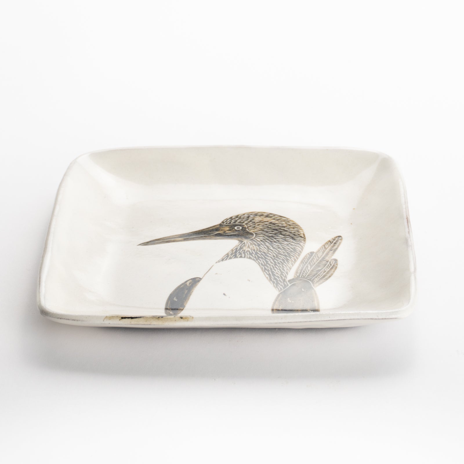 【清水焼】正角皿　アオアシカツオドリ　澤田卓伸 KOTOPOTTER