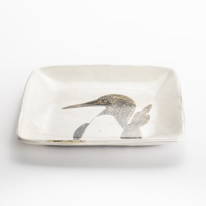 【清水焼】正角皿　アオアシカツオドリ　澤田卓伸 KOTOPOTTER