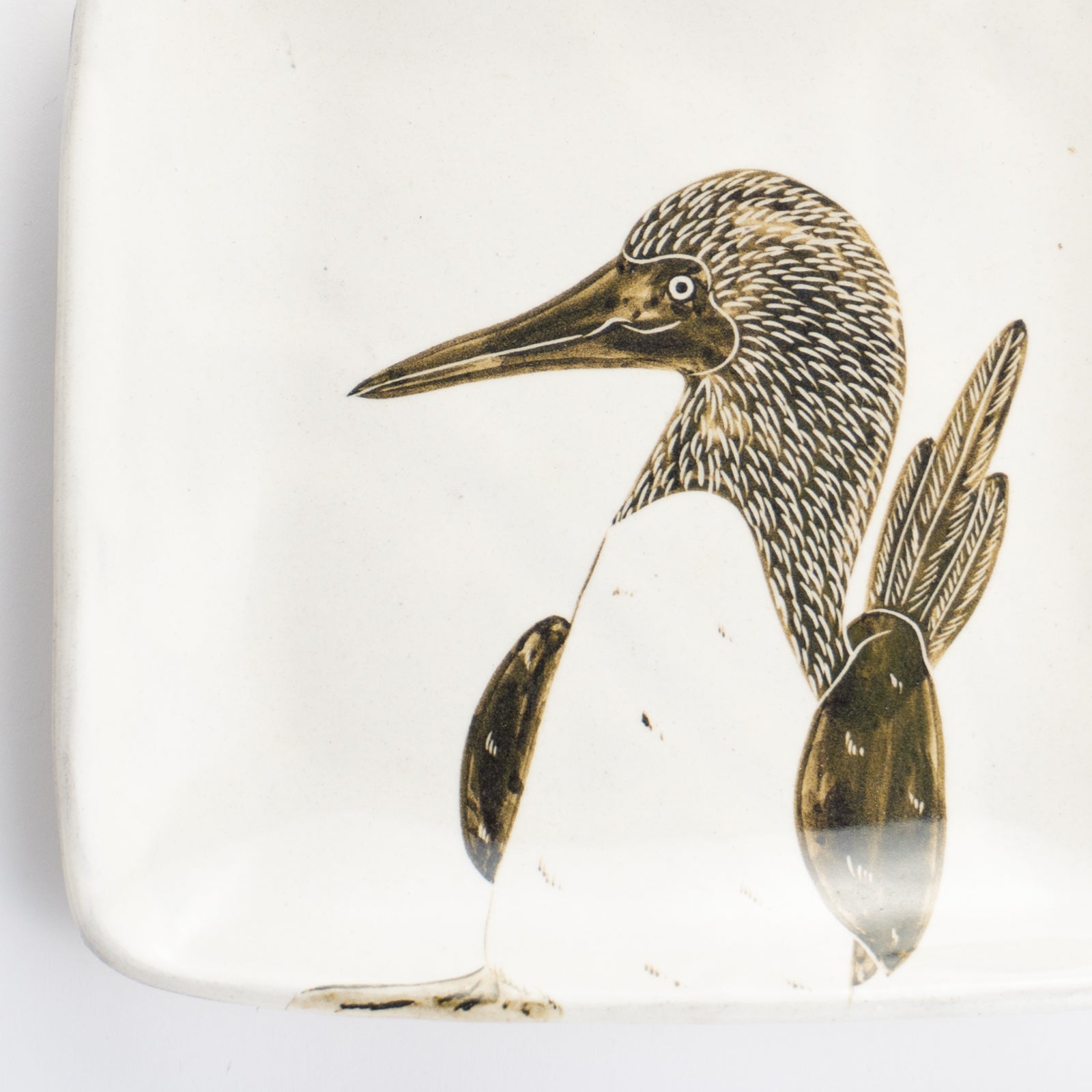 【清水焼】正角皿　アオアシカツオドリ　澤田卓伸 KOTOPOTTER