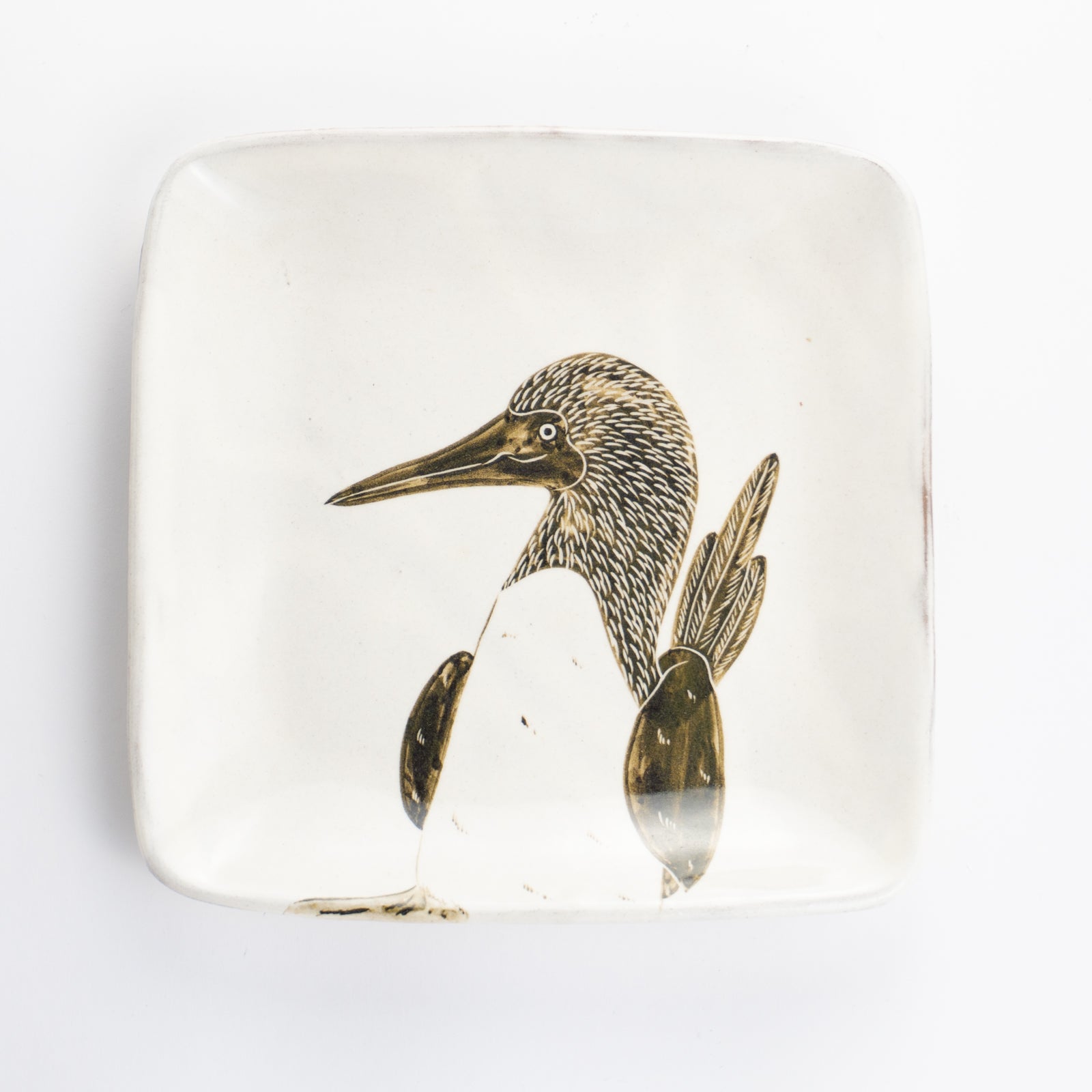 【清水焼】正角皿　アオアシカツオドリ　澤田卓伸 KOTOPOTTER