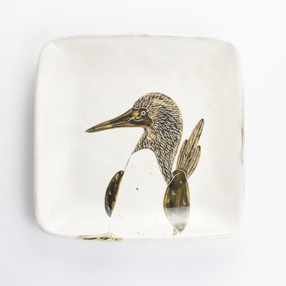 【清水焼】正角皿　アオアシカツオドリ　澤田卓伸 KOTOPOTTER