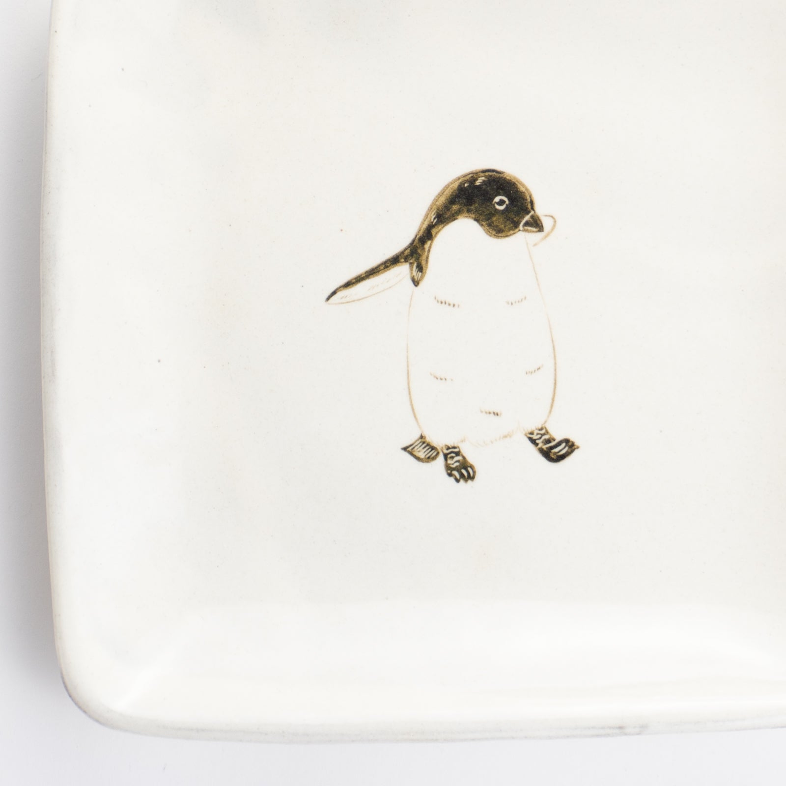 【清水焼】正角皿　アデリーペンギン　澤田卓伸 KOTOPOTTER