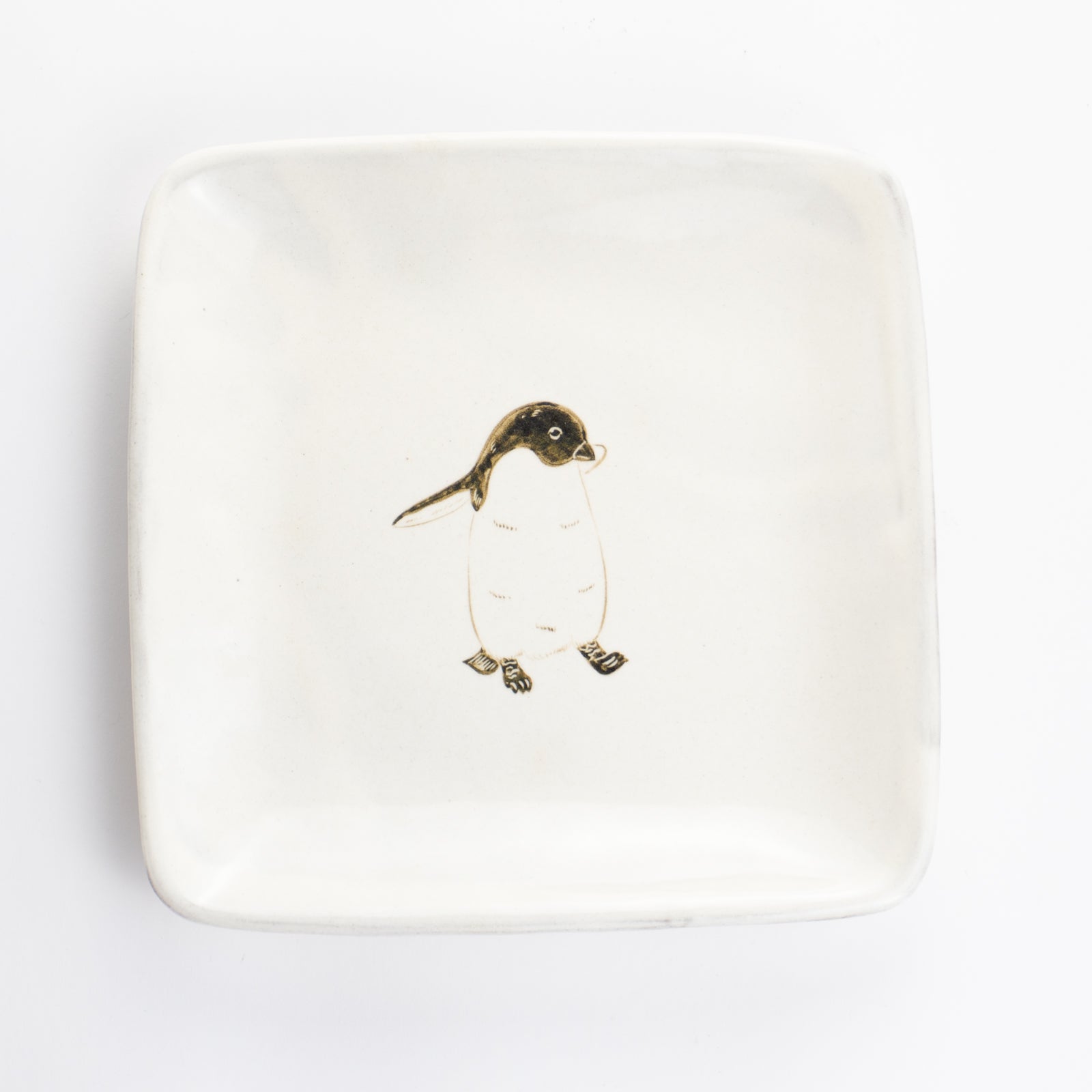 【清水焼】正角皿　アデリーペンギン　澤田卓伸 KOTOPOTTER