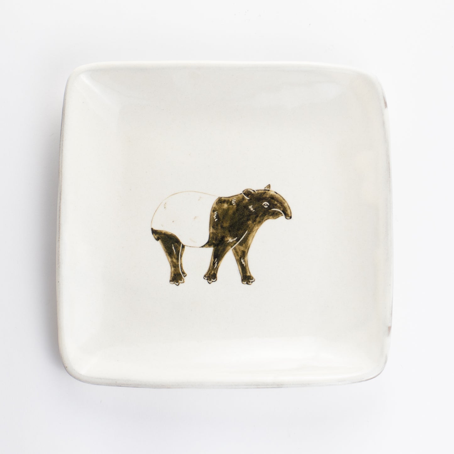 【清水焼】正角皿　マレーバク　澤田卓伸 KOTOPOTTER