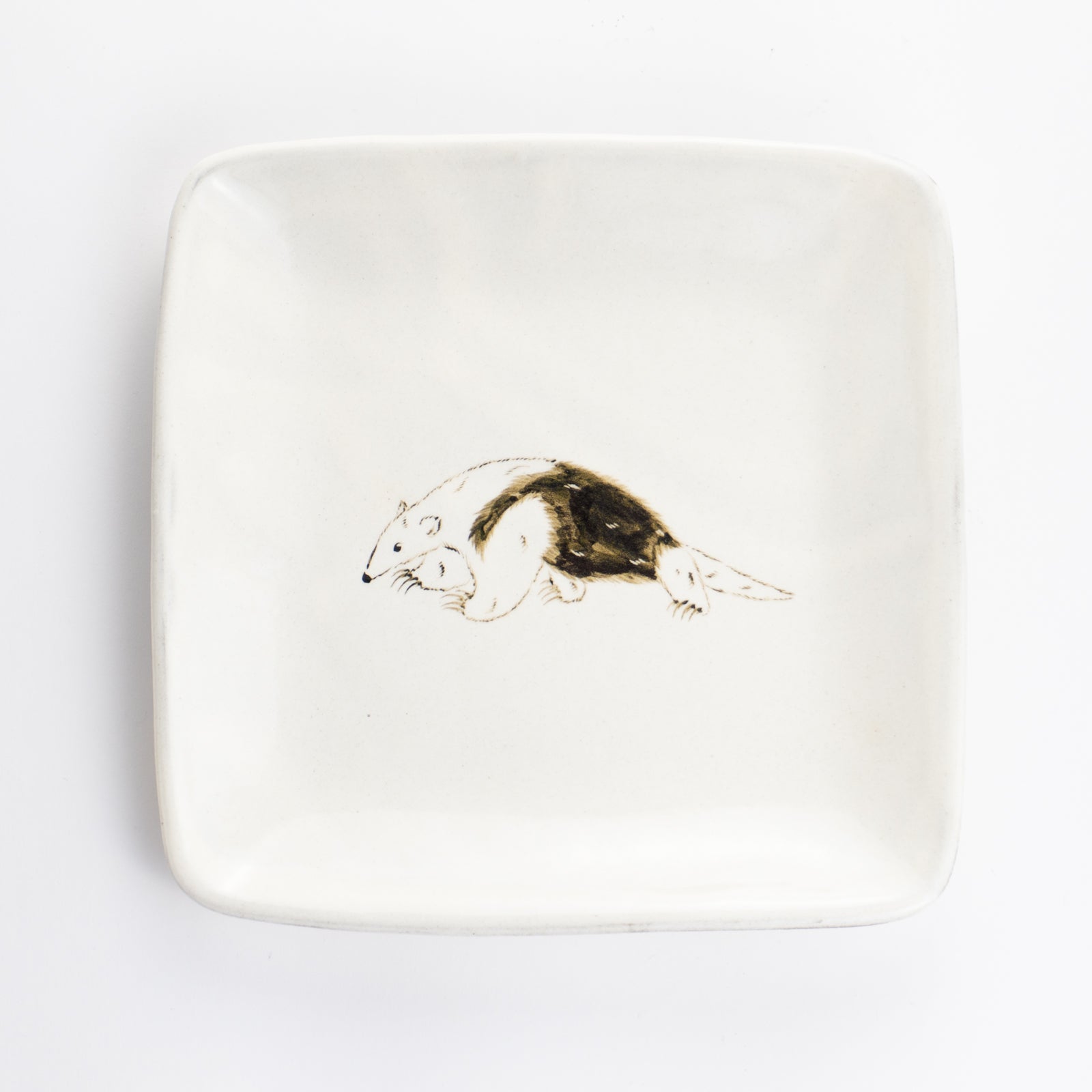 【清水焼】正角皿　ミナミコアリクイ　澤田卓伸 KOTOPOTTER
