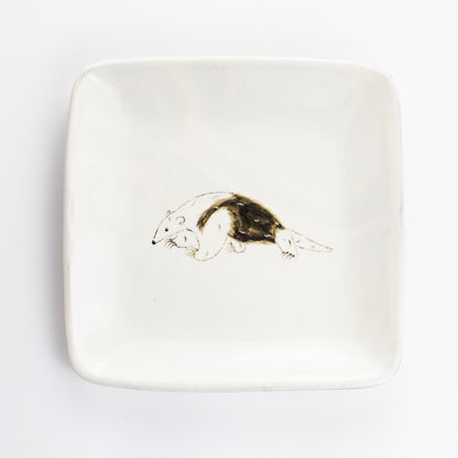 【清水焼】正角皿　ミナミコアリクイ　澤田卓伸 KOTOPOTTER