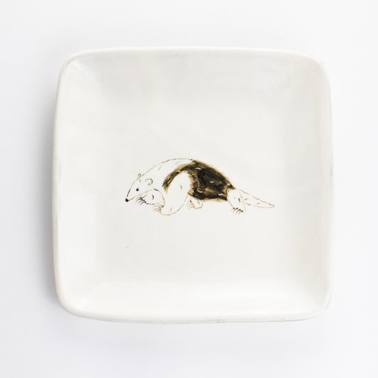 【清水焼】正角皿　ミナミコアリクイ　澤田卓伸 KOTOPOTTER