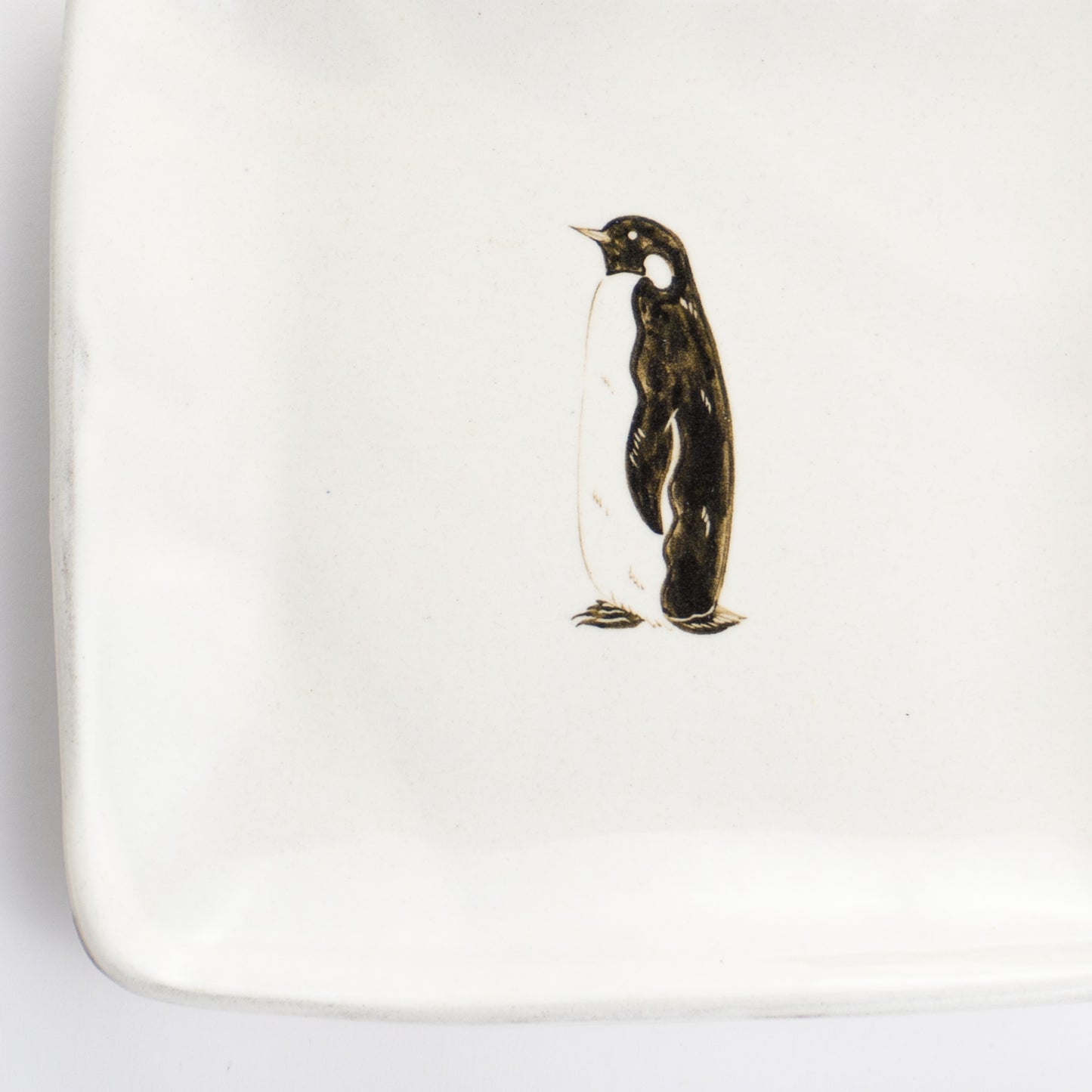 【清水焼】正角皿　コウテイペンギン　澤田卓伸 KOTOPOTTER