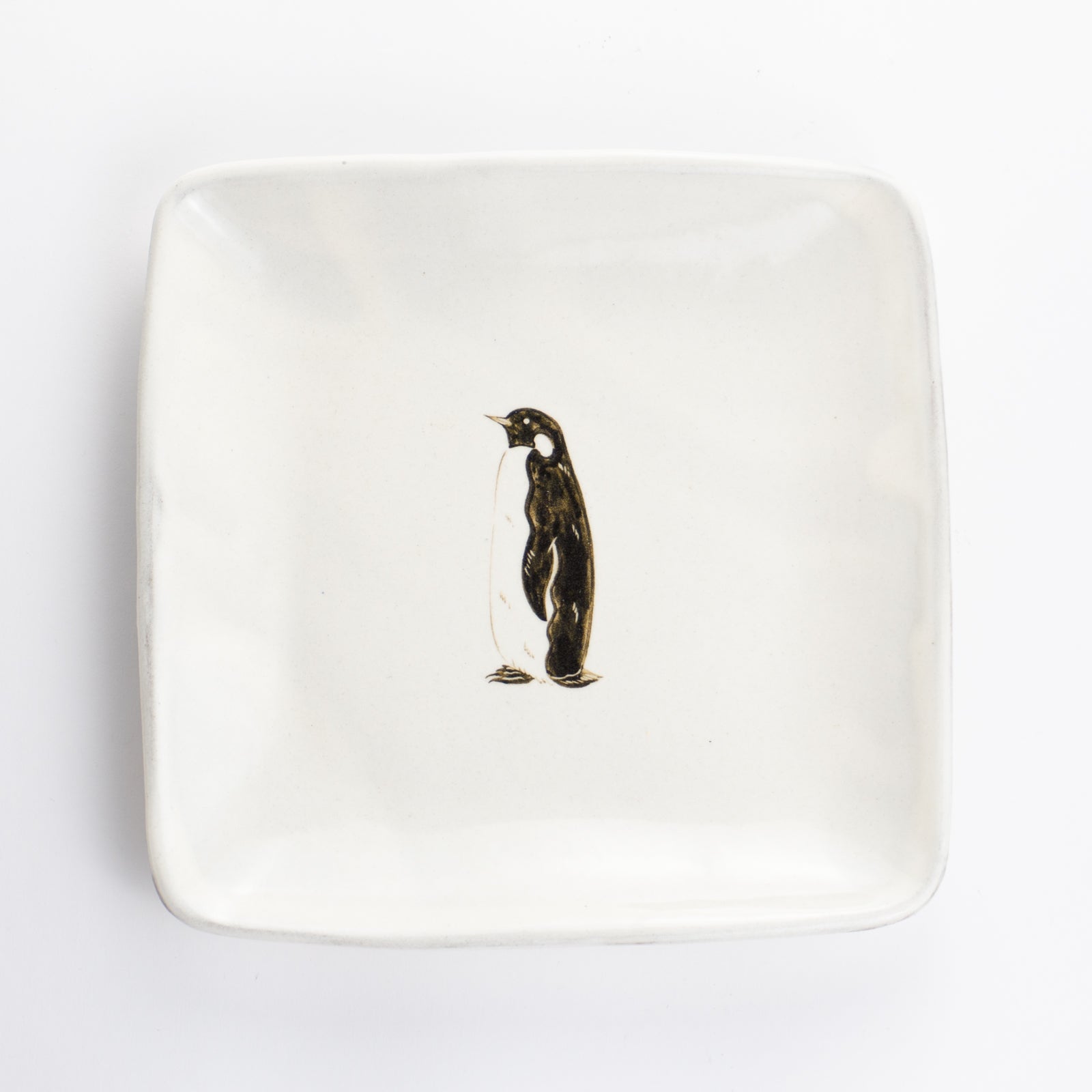 【清水焼】正角皿　コウテイペンギン　澤田卓伸 KOTOPOTTER