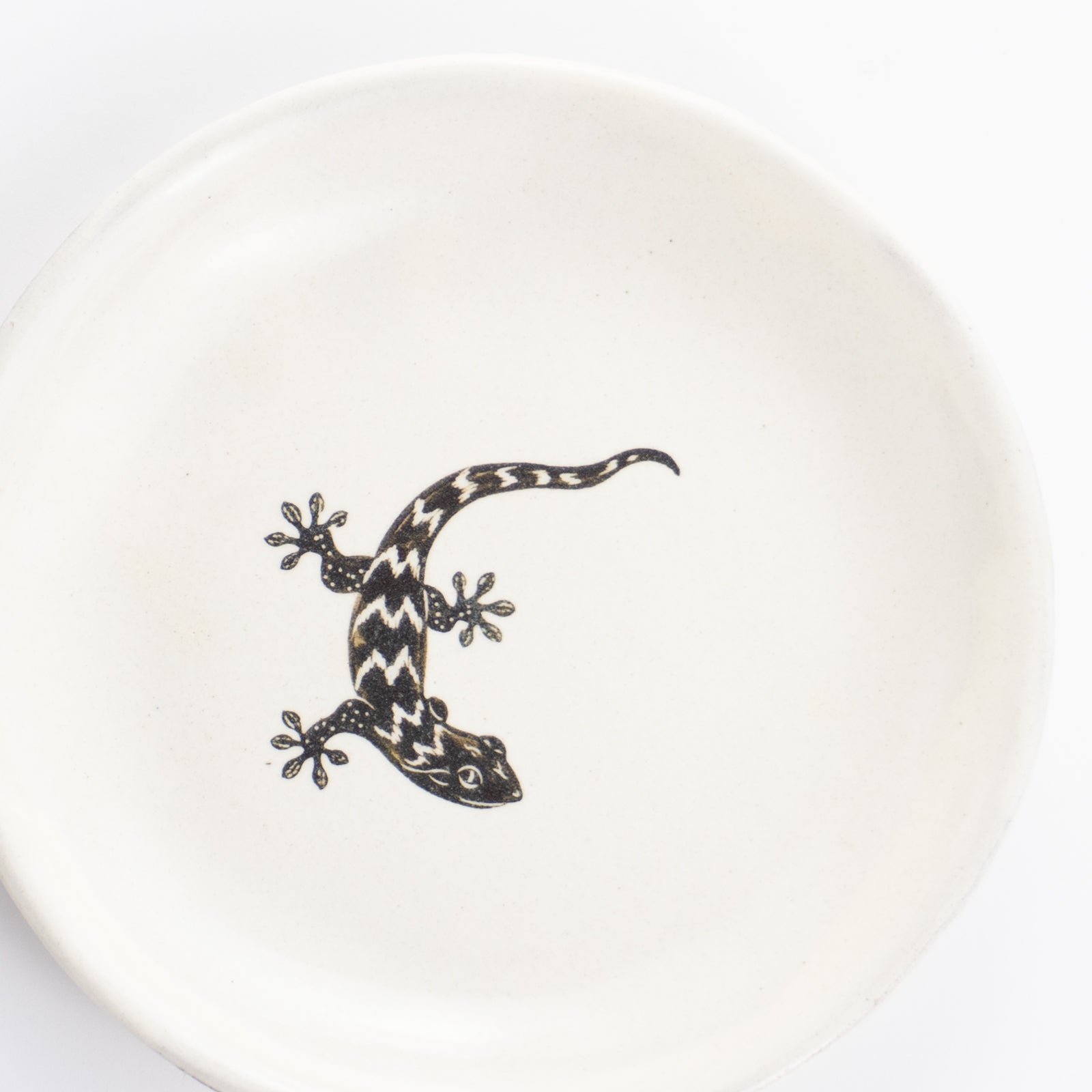【清水焼】4.5寸 平皿　ヤモリ　澤田卓伸 KOTOPOTTER