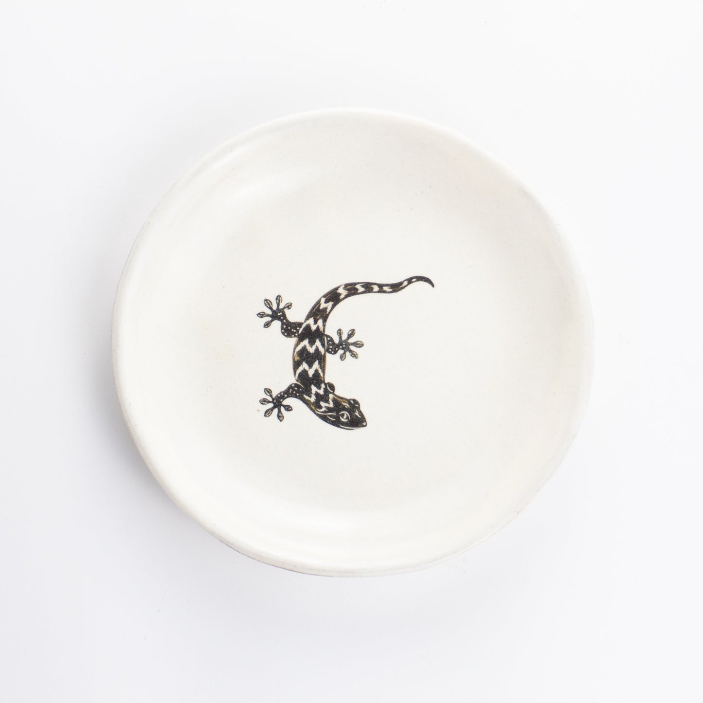 【清水焼】4.5寸 平皿　ヤモリ　澤田卓伸 KOTOPOTTER