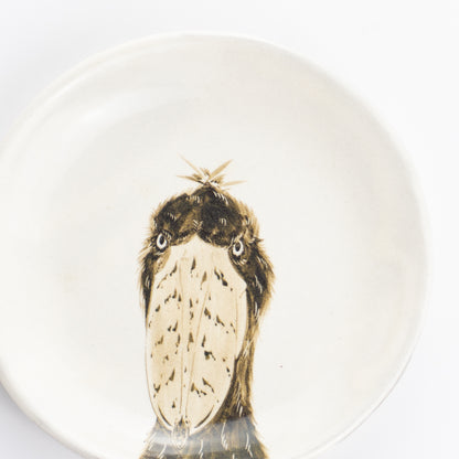 【清水焼】4.5寸 平皿　ハシビロコウ　澤田卓伸 KOTOPOTTER