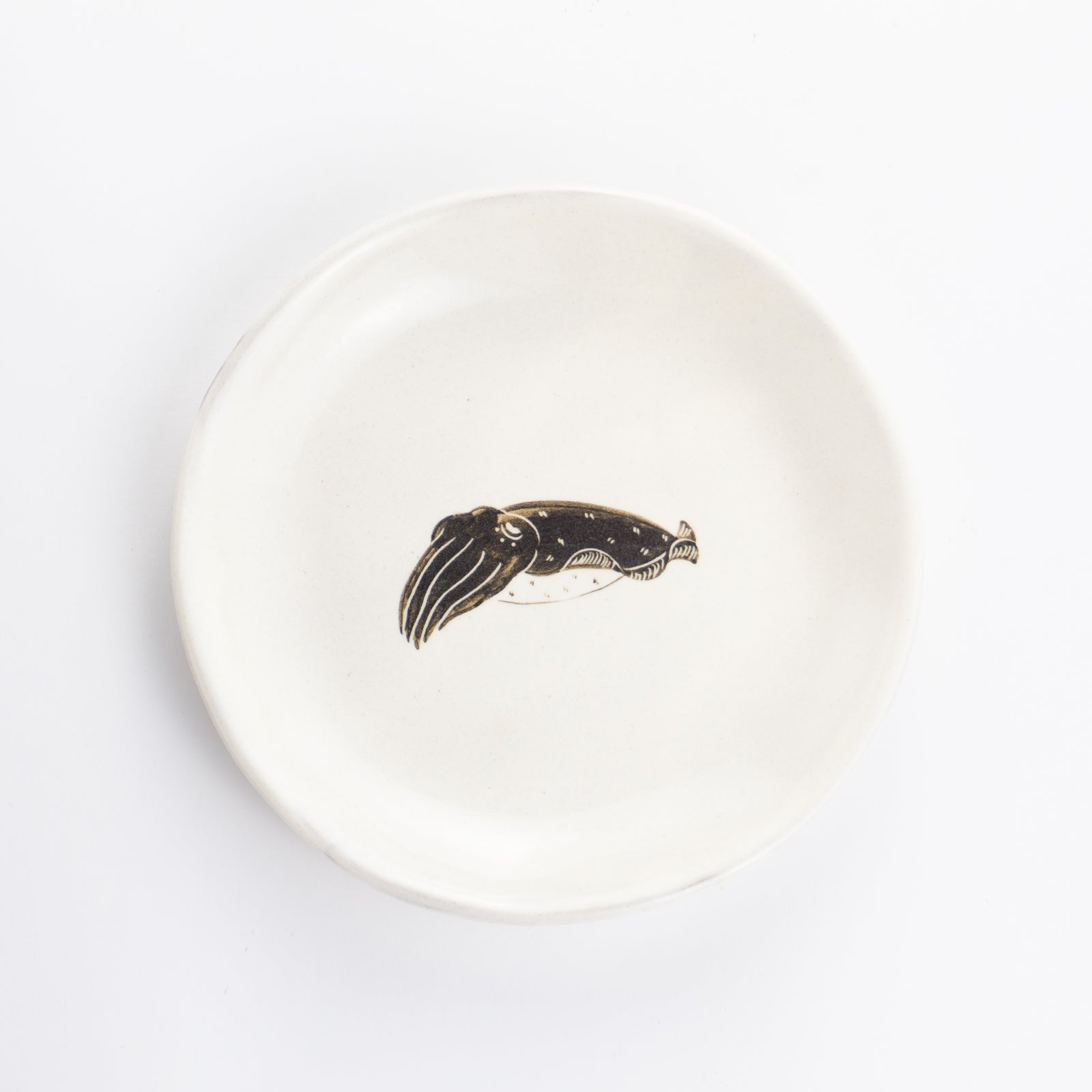 【清水焼】4.5寸 平皿　コウイカ　澤田卓伸 KOTOPOTTER