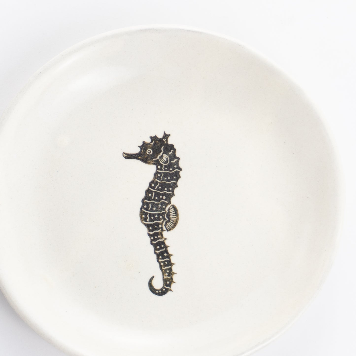 【清水焼】4.5寸 平皿　タツノオトシゴ　澤田卓伸 KOTOPOTTER