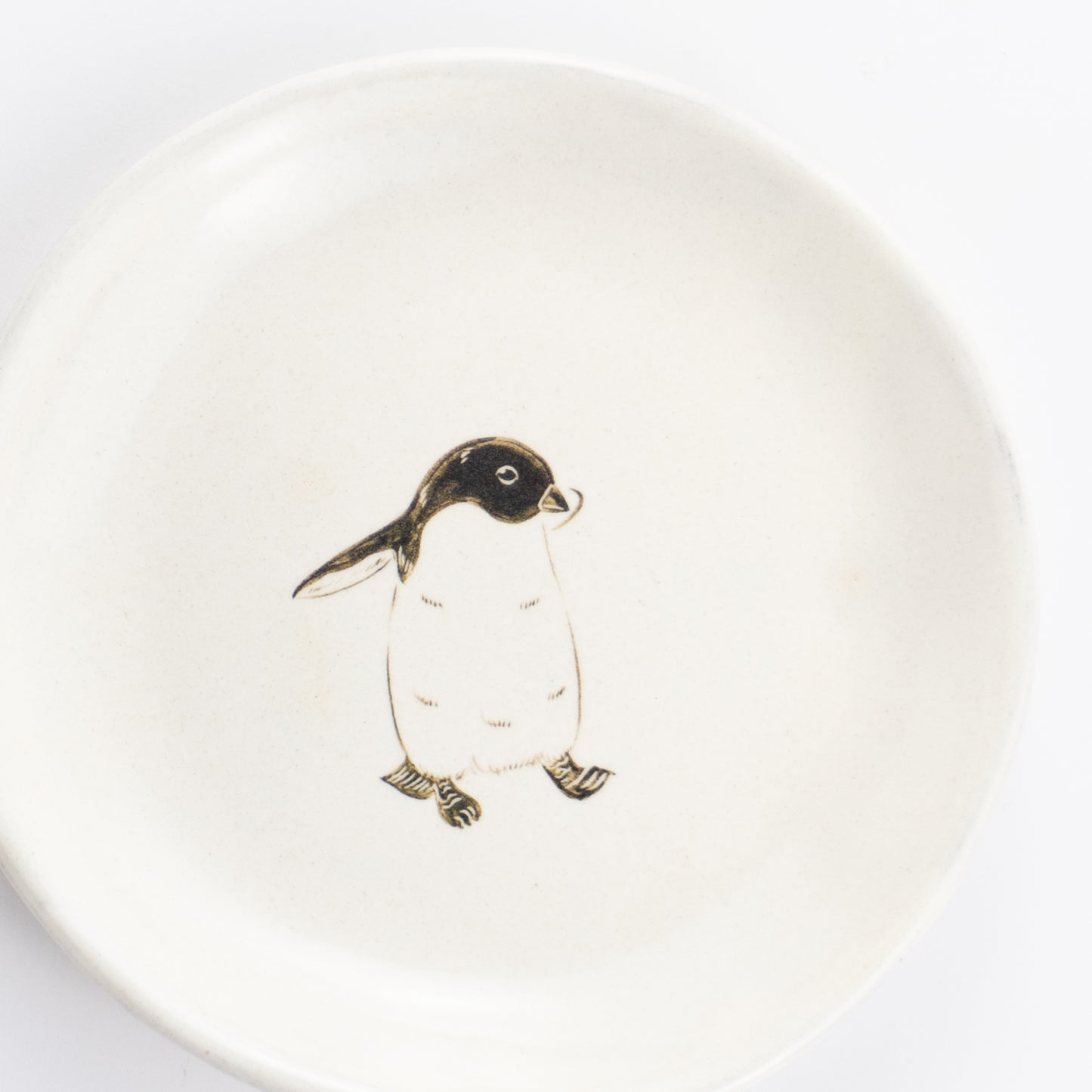 【清水焼】4.5寸 平皿　アデリーペンギン　澤田卓伸 KOTOPOTTER