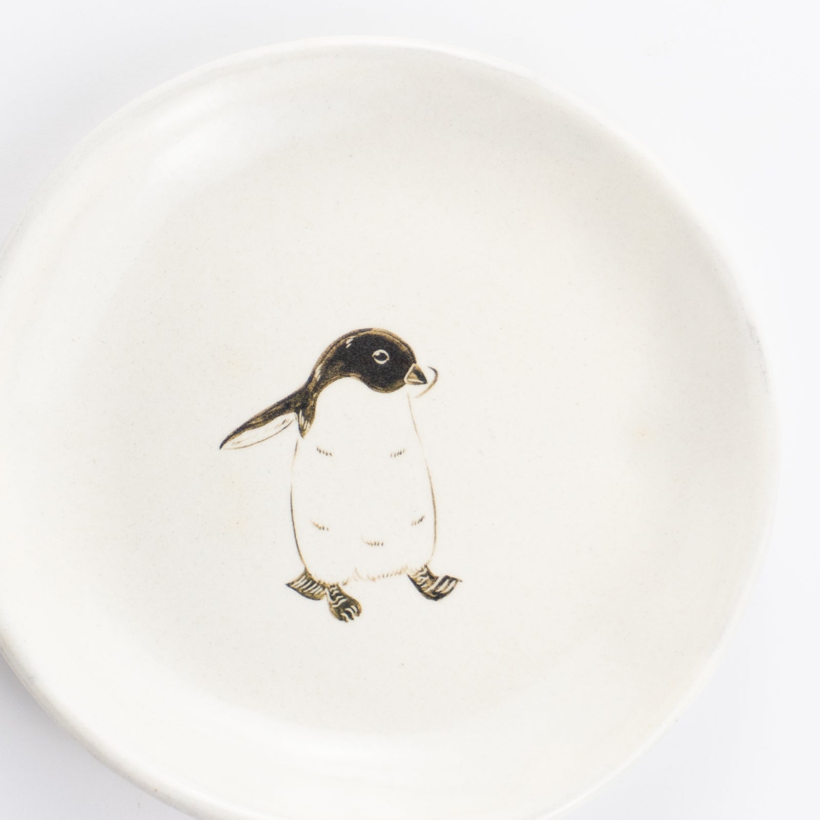 【清水焼】4.5寸 平皿　アデリーペンギン　澤田卓伸 KOTOPOTTER