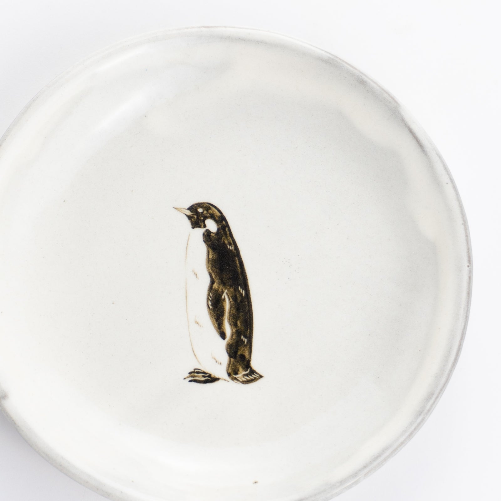 【清水焼】4.5寸 平皿　コウテイペンギン　澤田卓伸 KOTOPOTTER