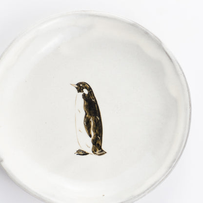 【清水焼】4.5寸 平皿　コウテイペンギン　澤田卓伸 KOTOPOTTER