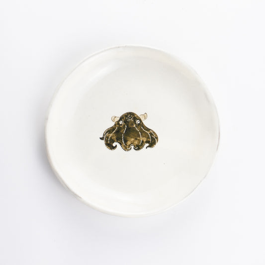 【清水焼】4.5寸 平皿　メンダコ　澤田卓伸 KOTOPOTTER
